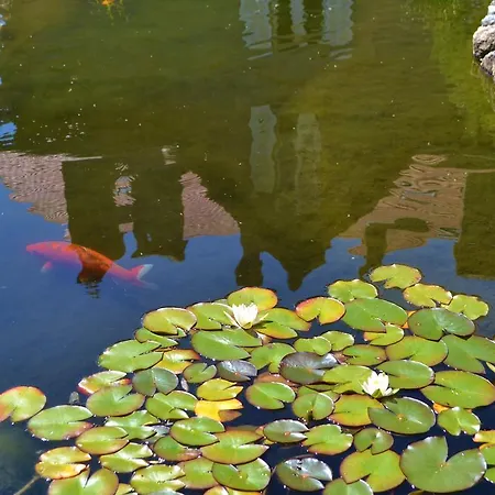 Chatelet De Pensión 4*