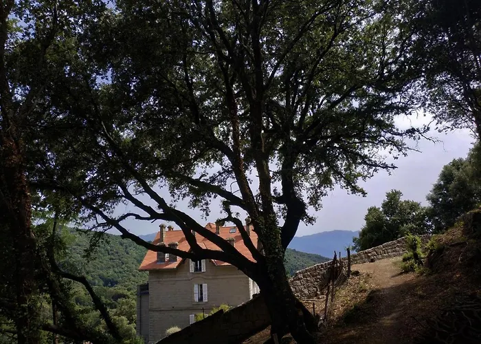 Chatelet De Penzion 4*