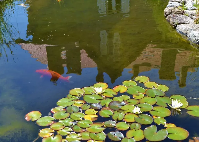 Chatelet De Penzion 4*